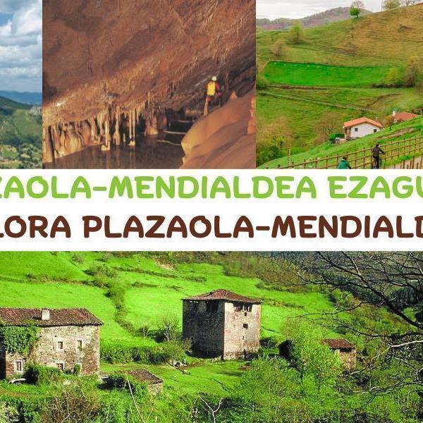 Explora Plazaola-Mendialdea